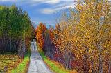 Autumn Backroad_23231